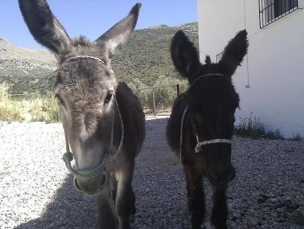 Cortijo El Llano Holiday home Las Lagunillas