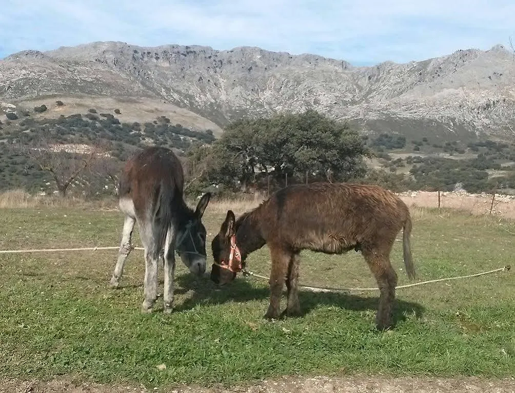 Cortijo El Llano Holiday home Las Lagunillas Spain